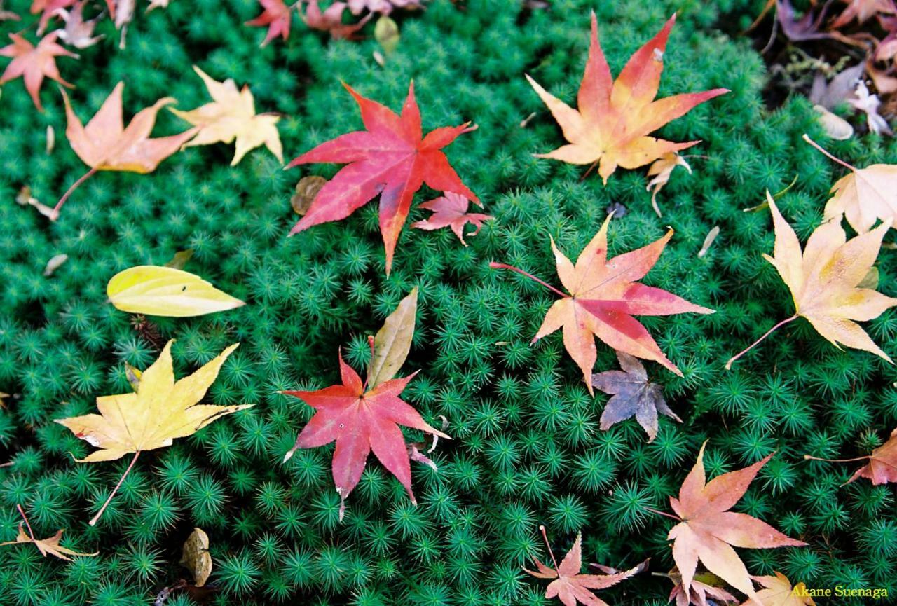 Kyoto Home Yoshida ภายนอก รูปภาพ